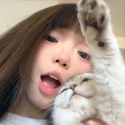 夜猫子海报