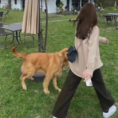 无限之住人海报
